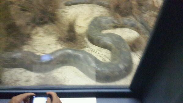 StuFairbairns's tweet image. #iPTweetHunt #TeamxStuSass #Questionx1