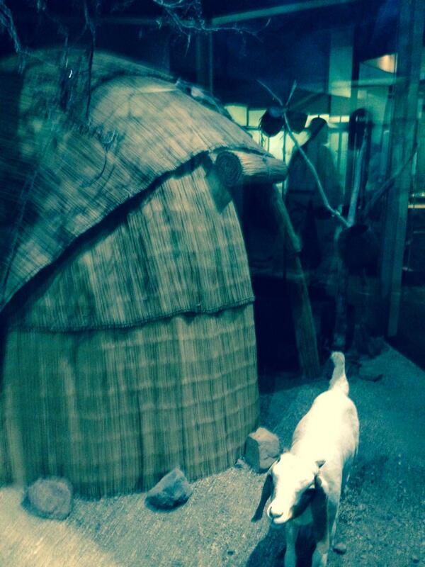 Rob_Stanbridge's tweet image. #IPTweetHunt #FatborisandtheTwit #question9