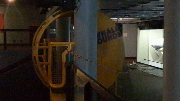 StuFairbairns's tweet image. #iPTweetHunt #TeamxStuSass #Questionx4