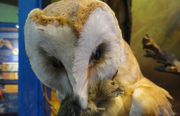 dit weekend gratis naar Terra Maris. 
 nl.terramaris.nl/te-doen/activi…