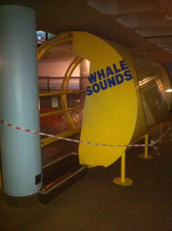 utemarkus's tweet image. #IPTweetHunt #winners #question4