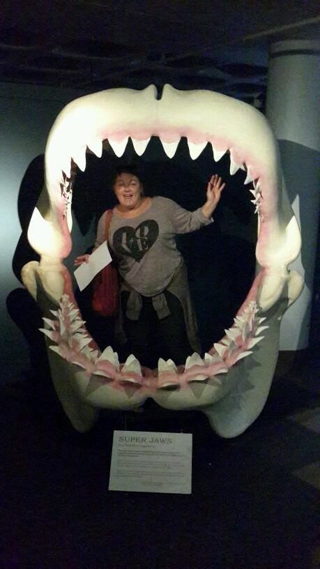 StuFairbairns's tweet image. #iPTweetHunt #TeamxStuSass #Questionx8