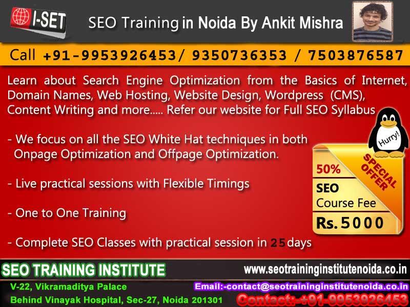 Social Media Optimization Smo at Rs 5000/month in Noida