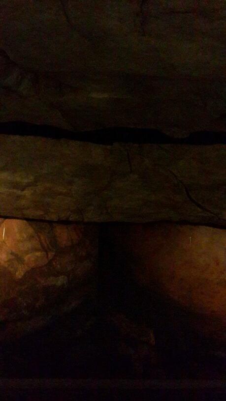 StuFairbairns's tweet image. #iPTweetHunt #TeamxStuSass #Questionx9