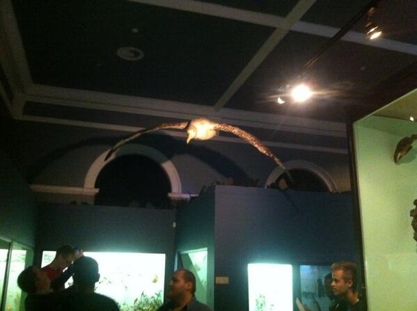 utemarkus's tweet image. #IPTweetHunt #winners #question2