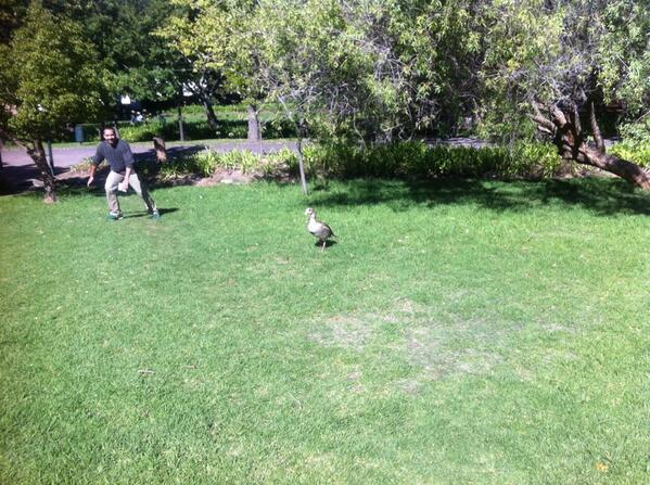 utemarkus's tweet image. #IPTweetHunt #winners #question11