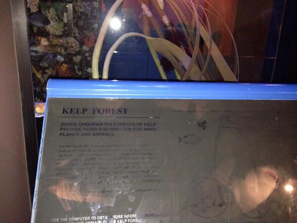 Rob_Stanbridge's tweet image. #iptweethunt #fatborisandthetwit #question7