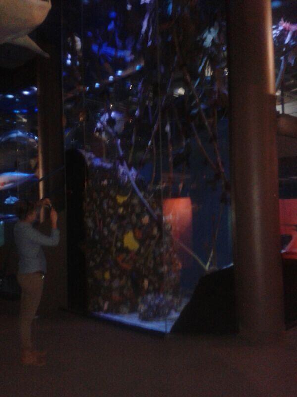 BronwynLH's tweet image. #iPTweetHunt #TeamSunshine #Q7