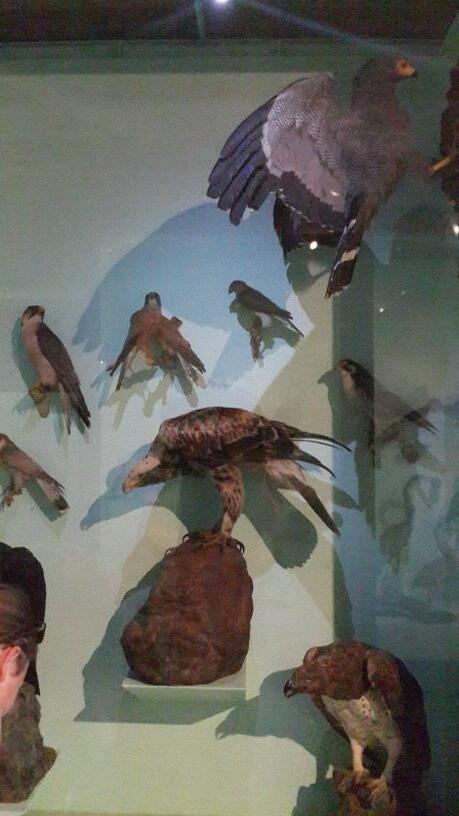 StuFairbairns's tweet image. #iPTweetHunt #TeamxStuSass #Questionx2