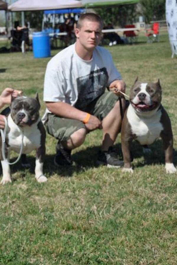 WCEJAMESLEWIS's tweet photo. Look for these two bad boys to do damage up in San Jose at bully show http://t.co/HfUL1Z4pul