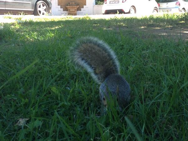 Grant03A's tweet image. #iPTweetHunt #TeamSeniorBossMan #Question10