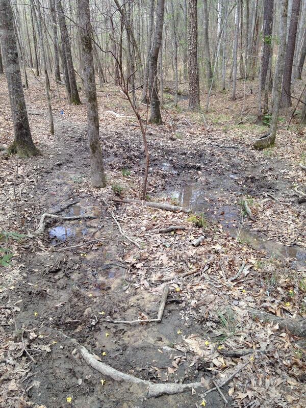 LakeMartin100's tweet photo. Sweeping single track yesterday. Still really bad in places. http://t.co/PYVj5KPXyk