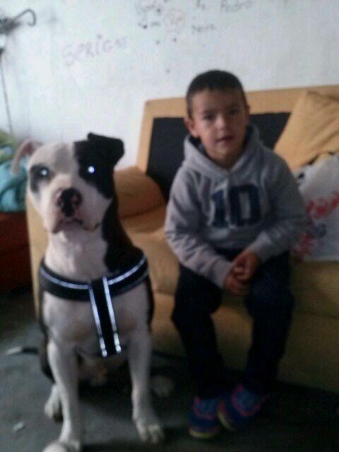 NereIsla's tweet photo. Hoy toca Tardesita Con #Pirata &amp; Mi #Pepito #ElmasXuloDeToLaPunta=D http://t.co/8T8fpiavRx