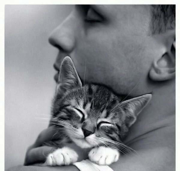 nastja_str's tweet image. @Lobenko90 спокойной ночи.