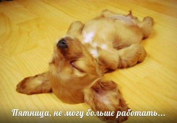 stroy_centr's tweet photo. Мы уже на финишной прямой, друзья! ) #пятница #отдых http://t.co/2JFTx6ReB5