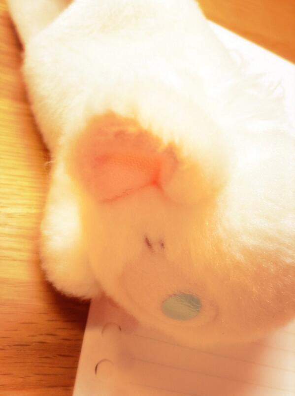 _urim_04's tweet photo. @yana_Gbr 
ぬいぐるみみたいなのは
あるんですけどね。。。
グッズも増えてほしいです http://t.co/mlGXeJ02Fd