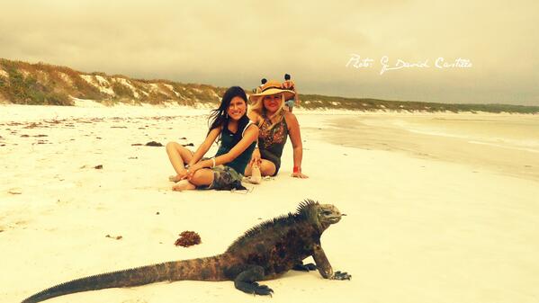 gdavidcastillo's tweet photo. #TortugaBay Natural Paradise! Right here in the Half of the Earth #AllYouNeedIsEcuador @luxury__travel @travelchannel http://t.co/5HHpWKnn3H