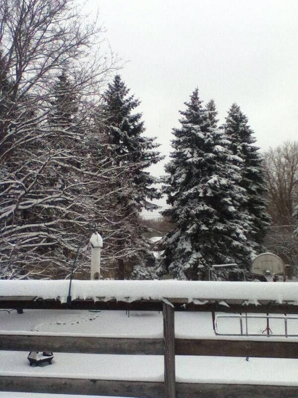 hunt_man39's tweet photo. It's spring right? http://t.co/AMLttkFtSy