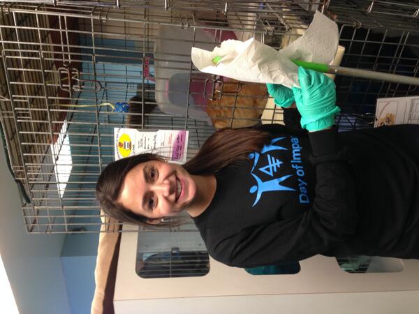 Columbia_Biz's tweet photo. .@Columbia_Biz volunteers are keeping the kitty cages looking pretty at the @HumaneSocietyNY! #CBSDayOfImpact http://t.co/DJzPBqSJck