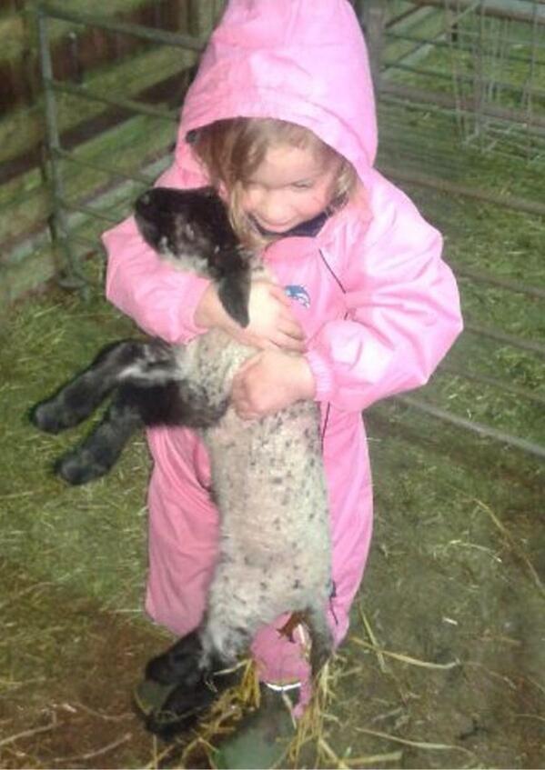 StannersDabel's tweet photo. I guess as long as it gets from A to B!! http://t.co/vnpbtXOzvA