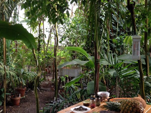 Welcome to the jungle :) #lnf14el with @lukaskollmann and anna k.