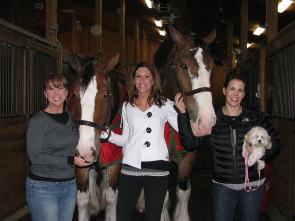 PeeperRanch's tweet photo. Just  missed TBT, oh well! Take this anyway! @MrsFire @Janelle413 #PeeperRanch #AMHA http://t.co/u64QTXF5x1