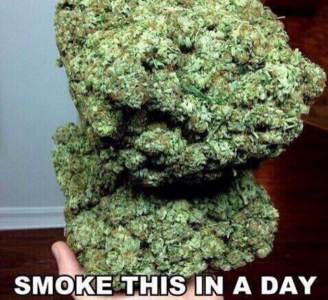 StonerNewspaper's tweet photo. Rt if you could http://t.co/6TbZHqUN6C