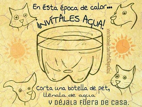 ExtraGuatemala's tweet photo. Dale RT. http://t.co/lKcd3L3ITL