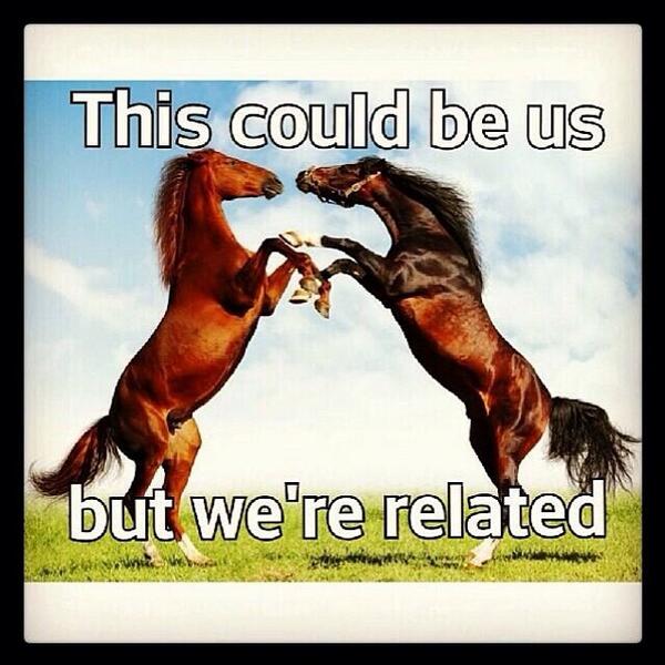 TonganBeefcake's tweet image. #polyProbs