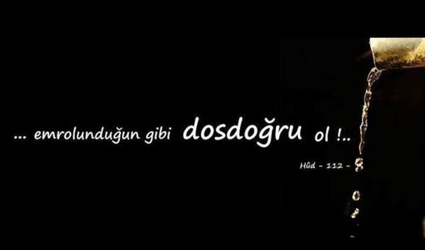 Prof.Dr.ALİ ÇAY (@profdralicay) on Twitter photo 