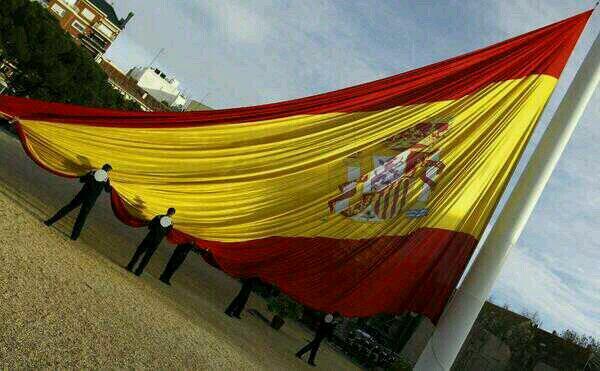 2Orgullo's tweet photo. Ninguna otra bandera me representa. Y a quien no le guste, que se joda. http://t.co/jELT7GpdHo