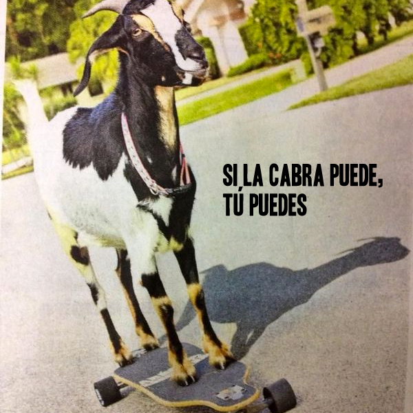 burn_es tweet picture