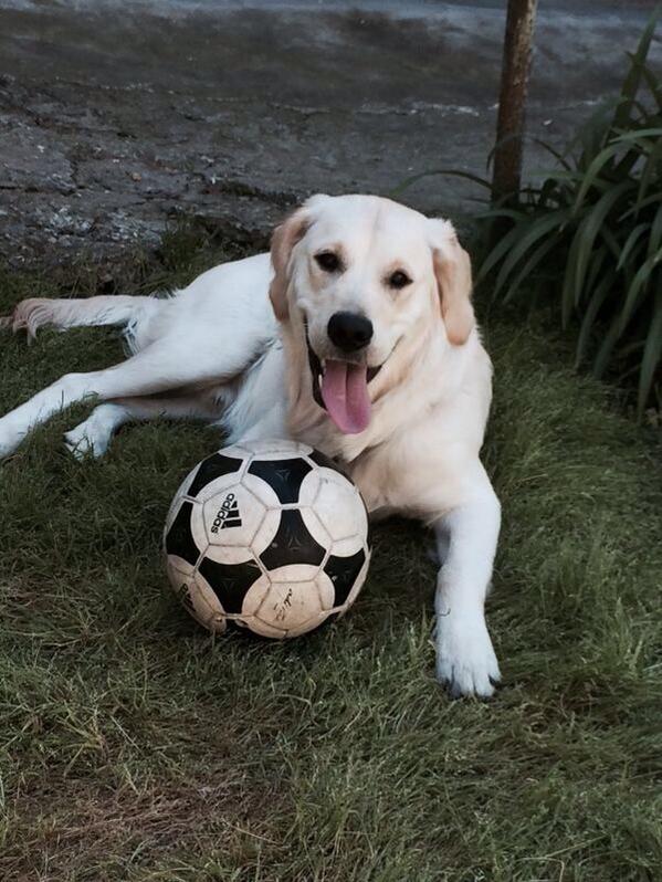 ramazan (@ramazanlar) on Twitter photo 