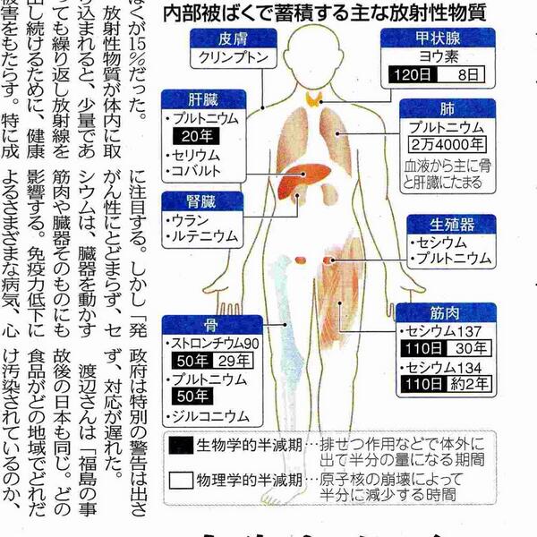 Twitterで画像を見る
