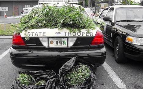 kvjvk's tweet image. after #projectnat gets shut down...