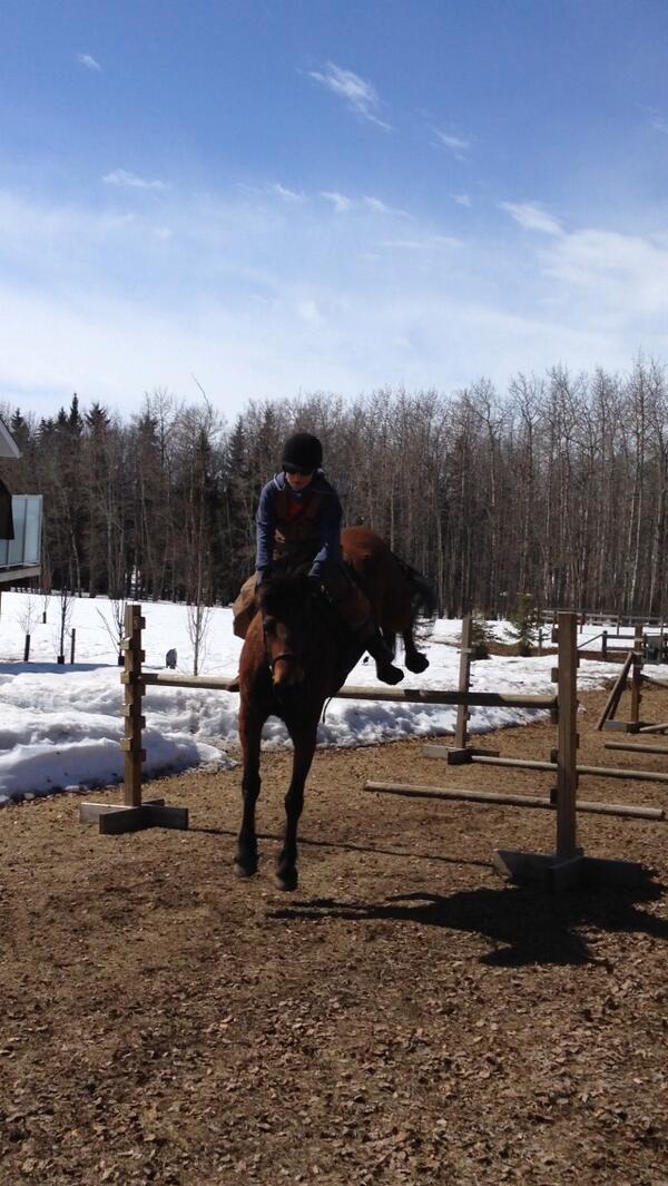 A_isly_n's tweet image. Should be an exciting season on this little spit fire #optimystical  #shecanjump #winterjumping #showprep