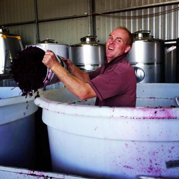Pressing Pinot today #V14 777
