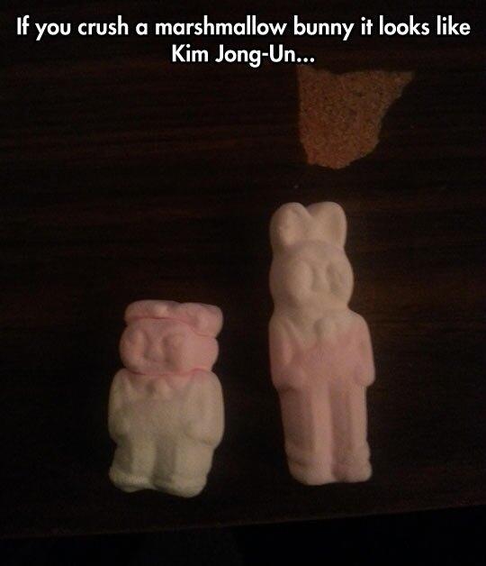 will_erion's tweet image. #damthisisfunny