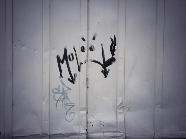 Ah, where da Molly girl?