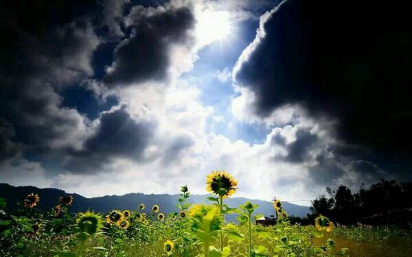 naram779's tweet photo. http://t.co/aocgzXHKX3