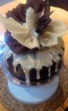 boutiquebake's tweet photo. Well already for delivery ..Special Pre Easter chocolate truffle overload ...@tiger_eastdean @Mrswiggett http://t.co/uOCHzT438K