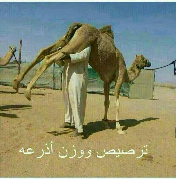 انا في جده الان سالب (@sara3335282) on Twitter photo 