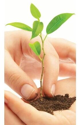 새누리당 성남시장 예비후보 압축을 위한 전화 여론조사가 주말에 실시되고 있습니다 적극 참여하시어 많은 성원과 지지 부탁드립니다.[새누리당 성남시장 예비후보 장대훈 올림] #2.