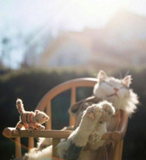 nastja_str's tweet image. @Lobenko90 День добрый. И пусть выходные будут замечательными.