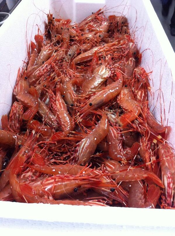 Incredible day! First of the first of the season. <a href="/FSVancouver/">FSVancouver</a>