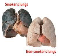 Buttitout's tweet photo. Bet you really enjoy filling your lungs up with tar on a daily basis, yeah? #buttitout #QSYFM http://t.co/973qznPE3v