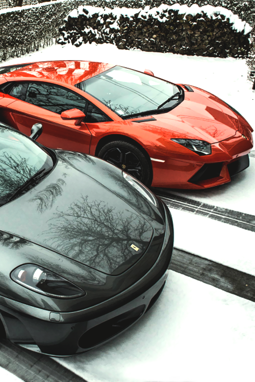 TheLuxuryThings's tweet photo. My babies. http://t.co/gsP7Cbacf4