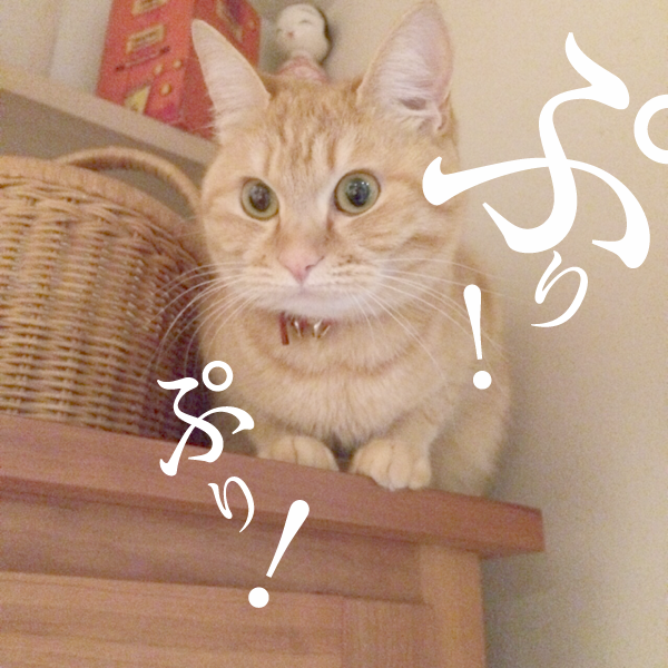 Fuuu9's tweet photo. #oioitt http://t.co/8DGKUMVsiD