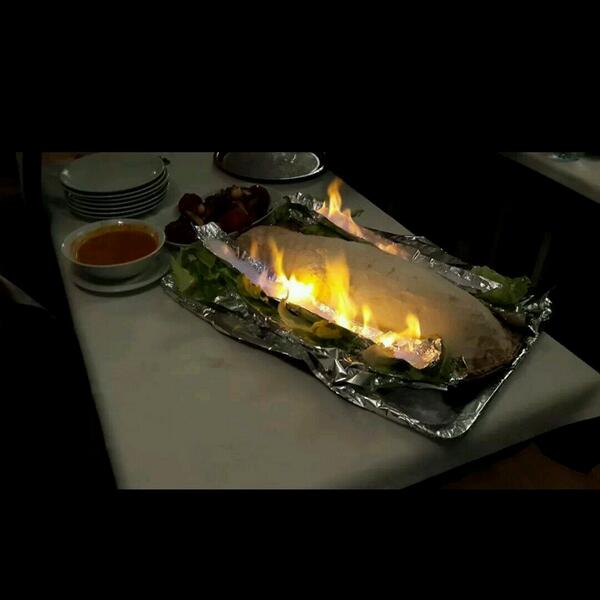 ERHAN Y. (@dolphin_balik) on Twitter photo 