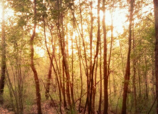 cathexis's tweet photo. 21. Middle of the city. #100happydays http://t.co/xNYNNepOVA